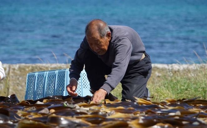 北海道 礼文島産 天然 天日干しわかめ 80g×2袋［れぶんちゅら工房］【 ワカメ 海藻 磯の香り 肉厚 味噌汁 サラダ 酢の物 健康 】