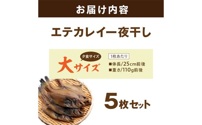 【店主一押し！絶品干物！高リピート！】エテカレイ一夜干し　大サイズ（夕食サイズ）5枚　YK00154