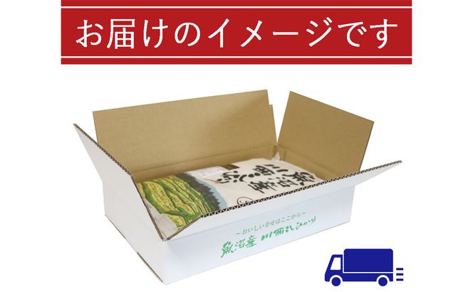令和８年産米　先行予約【定期便／6ヶ月】　無洗米　魚沼産川西こしひかり5kg ＜令和8年10月下旬～発送予定＞