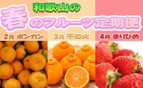 定期便 全3回 【2月・3月・4月発送】和歌山の春のフルーツ（ポンカン・不知火・まりひめ）［TM259］ 303446_XH92282