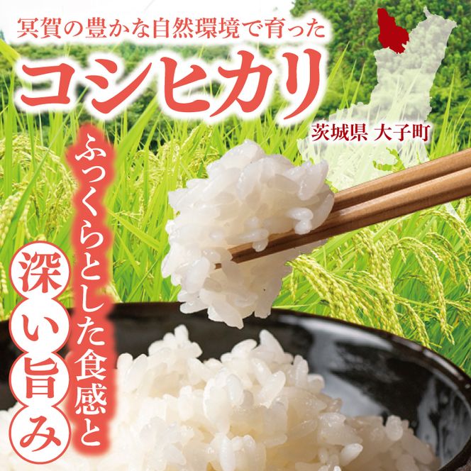 令和7年産「冥賀のヒカリ」コシヒカリ（白米）5kg ｜茨城県 大子町 奥久慈 天日干し米 おだがけ米 はざがけ米 いねかけ米 米 精米 ご飯 数量限定(DA001)