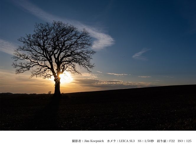 SIGMA 24-70mm F2.8 DG DN II  | Art【Lマウント】