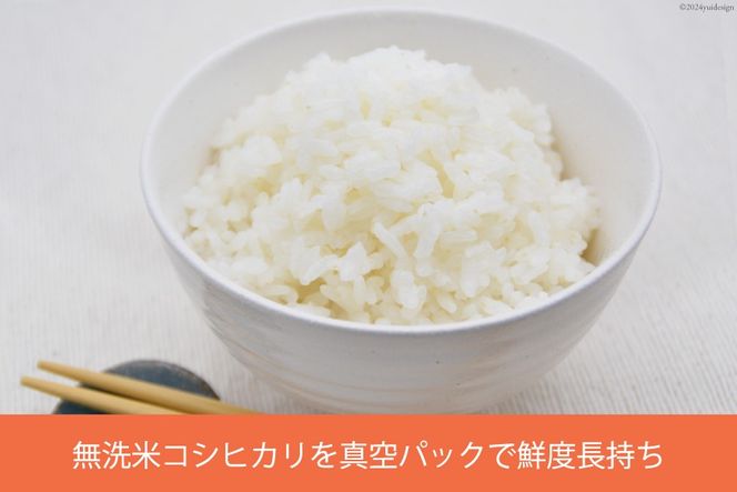 yxRMz  RVqJ ^pbN 300g [ĐH xR M 57050240]  Ђ   R   ͂ ~ ~ ۑ |Xg
