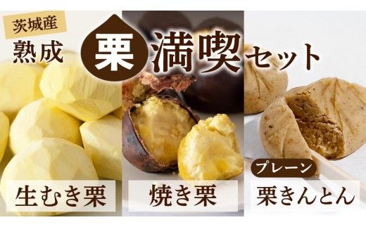 【 吉原農場 の 完熟栗 】熟成 栗 満喫 セット ( 栗の深雫 プレーン 6個入り ) 令和7年産 栗の深雫 完熟 生むき栗 焼き栗 栗きんとん プレーン くり クリ 栗ごはん おかし お菓子 果物 フルーツ 数量限定 旬 秋 冬 正月 おせち  [CX026ci]