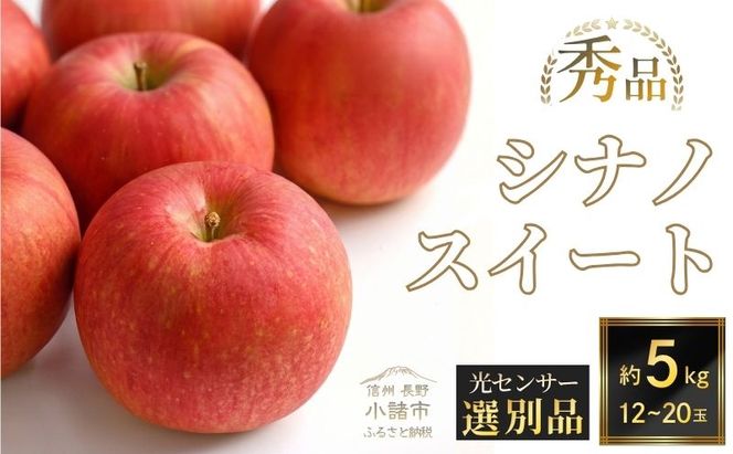 【2026年10月中旬～発送予定】 先行予約 りんご シナノスイート 秀品 約5kg 12～20玉入 長野県産 果物類 林檎  リンゴ フルーツ 