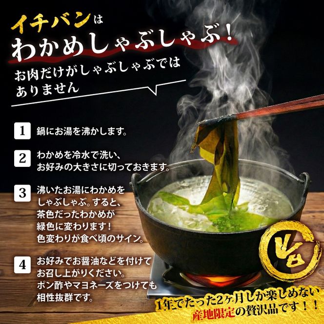 【先行予約】 早採り生わかめ 新物 1.2kg(200g×6袋) 期間限定 ★2026年1月～発送予定★ わかめ 早採りわかめ 生わかめ 三陸 漁師わかめ 小分け 若芽 湯通し 海藻 海産物 味噌汁 ごはん 夕飯 おかず 小分け 個包装 しゃぶしゃぶ サラダ お刺身 刺し身 刺身 綾里 岩手県 国産 大船渡