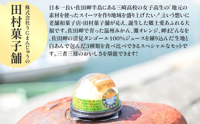 みっちゃん大福（温州みかん、灘オレンジ、岬まどんな）各種1個セット IKTK003