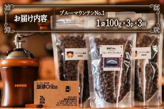 【3回定期便】 コーヒー豆 ブルーマウンテン 100g 3パック [珈琲Chiba 福岡県 筑紫野市 21761422] コーヒー 珈琲 豆 珈琲豆 セット ブルーマウンテンNo.1 ブルマン 豆のまま おいしい coffee bean beans 定期 定期便 12ヶ月 12回