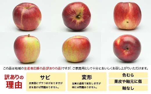 FYN6-596 ご家庭用 山形県産 品種おまかせ りんご 赤色系 約2kg 2026年10月中旬から順次発送 果物 くだもの フルーツ 林檎 リンゴ アップル 秋果実 生産者支援 農業者支援 支援品 自宅用 家庭用 訳アリ ワケアリ 山形県 西川町 月山