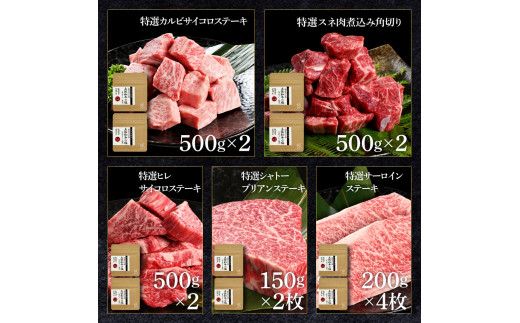 特選 土佐あかうし 長期熟成肉 9種 詰め合わせセット 田野屋銀象 完全天日塩付き 牛肉 肉 お肉 和牛 国産 牛 赤身 ヒレ カルビ ロース ステーキ スネ肉【株式会社LATERAL】 [BQAU035]