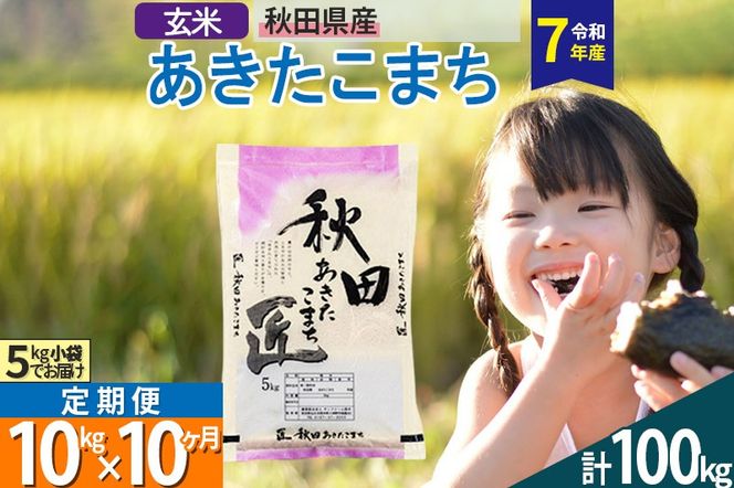 yHckszyāzߘa7NY s10tHcY ܂  10kg (5kg×2)×10 10L  |02_snk-020610s