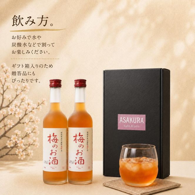 【数量限定】梅のお酒 500ml×2本セット 洋酒 リキュール 