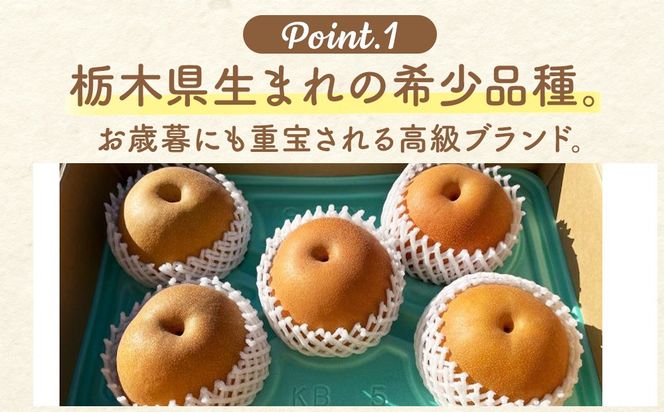 【先行予約】梨(にっこり) 4玉～7玉入り×1箱 (4.5kg以上) ※2026年10月上旬～11月下旬頃に順次発送予定