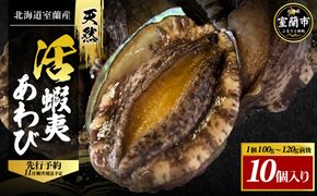 北海道室蘭産 天然活蝦夷あわび 10個入（1個100g～120g前後）2026年11月下旬頃～2027年1月下旬頃順次発送 MROH007