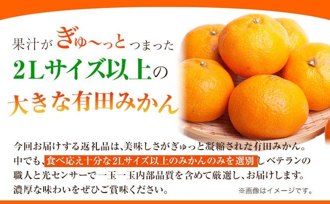 ＜先行予約＞厳選　大きな有田みかん10kg+300g（傷み補償分）【光センサー選果】池田鹿蔵農園@日高町（池田農園株式会社）《11月中旬-2月中旬頃出荷》和歌山県 日高町【配送不可地域あり】---wsh_idn61_11c2c_24_14000_10kg---