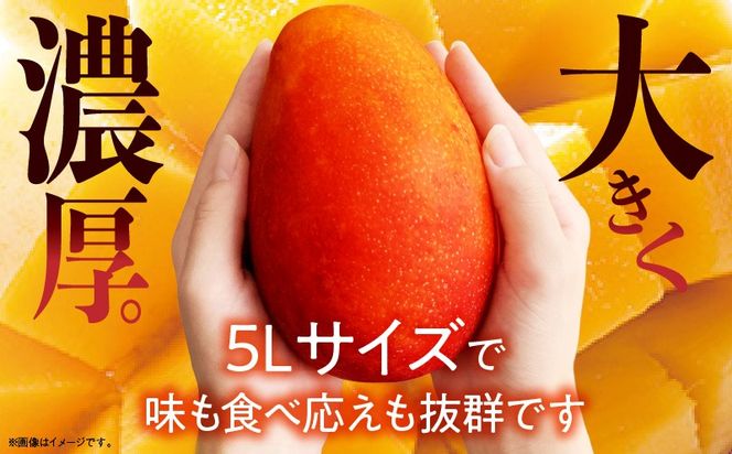 【2027年発送】【数量限定】宮崎県産 太陽のタマゴ A等級 5Lサイズ×1玉（約650g以上）_kn056-015