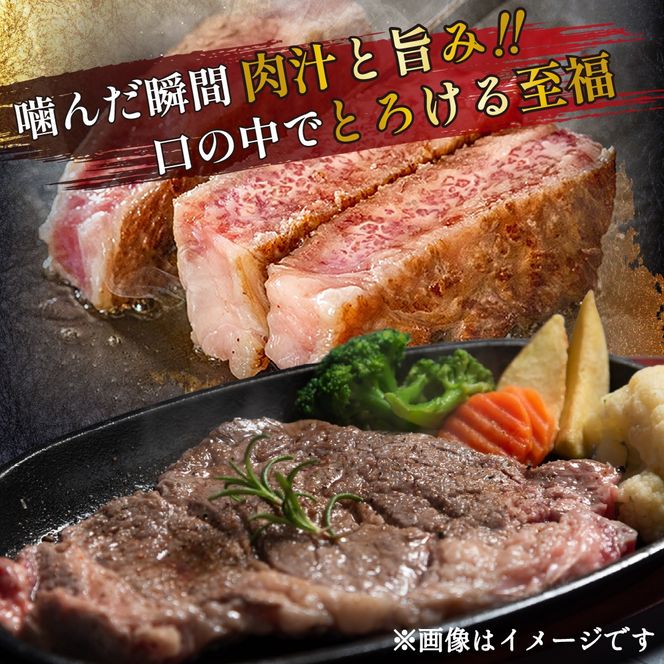 宮崎県西ノ原牧場・なかにしプレミアム和牛リブアイステーキ 600g 牛肉 黒毛和牛 国産 A4 A5 ステーキ ステーキ肉 希少