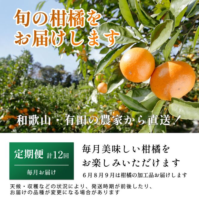 家庭用 柑橘定期便S（毎月）全12回 ［IKE300］ 303446_BB90209