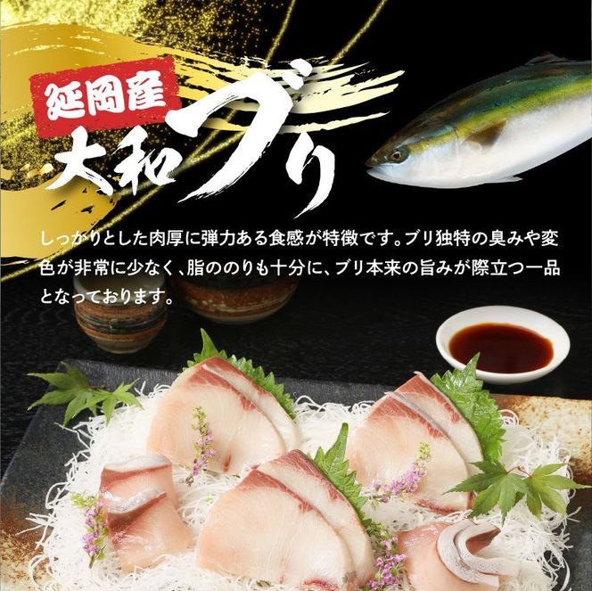 【大和海商】大和ブリの切り身たっぷりセット 12ヶ月定期便 N072-YH053