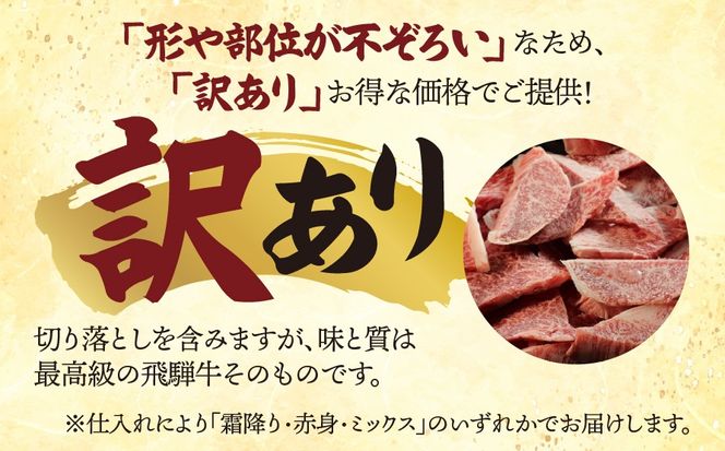 AB-98 【訳あり】A5 飛騨牛 切り落とし 焼肉用 1kg（500g×2パック）
