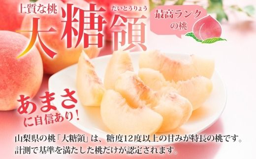 【2026年発送★先行予約】定期便全2回 桃 秀品 1.5kg 大糖領 シャインマスカット 1房 600g クール便 177-020-26y