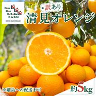 【先行予約】【訳あり】清見オレンジ 約5kg　※2027年3月中旬より順次発送予定 IKTAU015