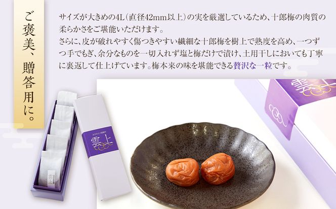 【小田原のブランド梅の大粒梅干し】雲上５個入り【 梅干し 神奈川県 小田原市 】 142069_CW083