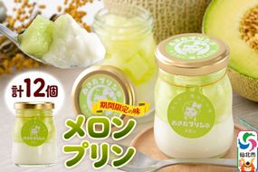 あきたプリン亭 メロンプリンセット 12個入り [手作り あきたプリン亭 ぷりん メロン お菓子 洋生菓子 洋菓子 高級 お取り寄せ スイーツ ギフト プレゼント 詰め合わせ]|02_apt-311201