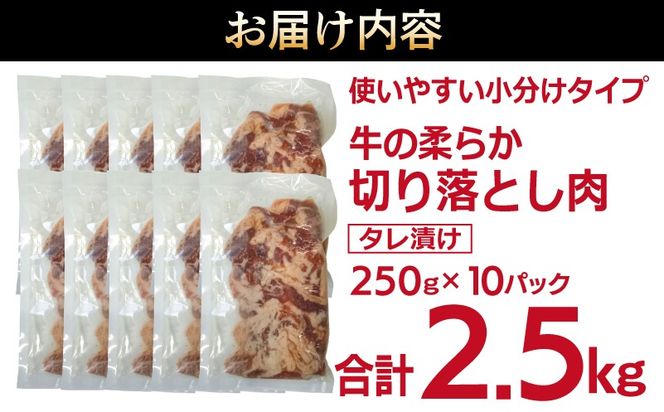 G3386 牛肉 切り落とし タレ漬け 合計2.5kg【味付け 小分け 焼くだけ 簡単調理 BBQ 牛肉 250g×10袋】