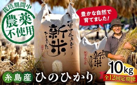 【全12回定期便】 糸島産 雷山のふもとの米 農薬不使用 10kg 糸島市 / ツバサファーム[ANI008] 