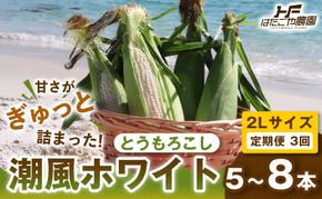 ［2027年発送 先行予約 夏の味覚］［定期便・全3回］潮風ホワイト 2Lサイズ 5～8本 1セット とうもろこし トウモロコシ 白 コーン とうもろこし BBQ 焼き肉 白浜町 304018_ET09
