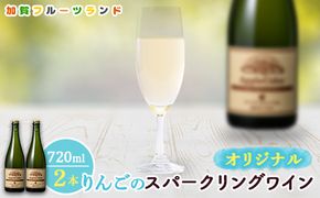 オリジナルりんごのスパークリングワイン　750ml×2本 F6P-1819