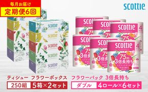 【定期便6回】【毎月お届け】【スコッティ】 ティシュー フラワーボックス 250組（5箱パック×2セット）＋フラワーパック 3倍長持ち（4ロール（ダブル）パック ×6セット） ティッシュ ストック