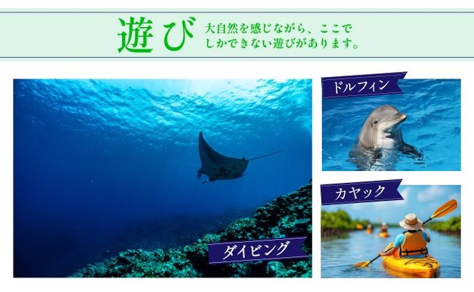 石垣パッケージ旅行補助券(30,000円分) OTI-01