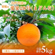 【先行予約】【数量限定】浅野農園の愛果28号（まどんな）家庭用計5kg※離島への配送不可（2026年12月中旬～2027年1月中旬頃に順次発送予定）IKTAC025