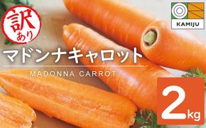 【予約受付】＜フジテレビ『どっちのふるさと？』で紹介されました！＞ 訳あり 冬期限定 にんじん マドンナキャロット 2kg 先行予約 国産 甘い フルーツのような味わい お子様にもおすすめ 栄養 神重農産 野菜 愛知県 碧南市 送料無料 H105-235
