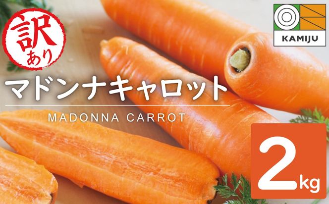 【予約受付】＜フジテレビ『どっちのふるさと？』で紹介されました！＞ 訳あり 冬期限定 にんじん マドンナキャロット 2kg 先行予約 国産 甘い フルーツのような味わい お子様にもおすすめ 栄養 神重農産 野菜 愛知県 碧南市 送料無料 H105-235