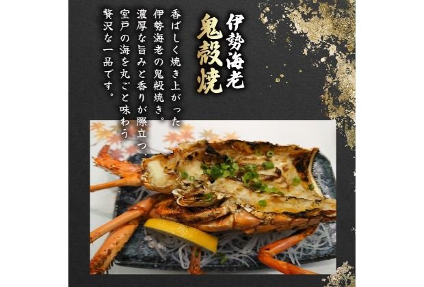 活 伊勢海老 訳あり 2kg(5尾～7尾＋タビエビ) 冷蔵 – 活き伊勢海老 訳あり 室戸産 国産 エビ えび 海鮮 魚介 産地直送 プリプリ 味噌汁 刺身 焼き物 汁物 室戸海洋深層水 黒潮 高知県 室戸市