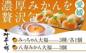 みっちゃん大福（温州みかん、灘オレンジ、岬まどんな）各種1個・八寿みかん大福3個セット