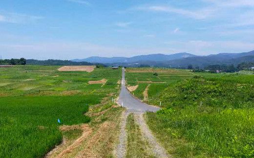 東和棚田のんびりRun（親子でショートの部）出場権（4.6km）1組様分 【1945】