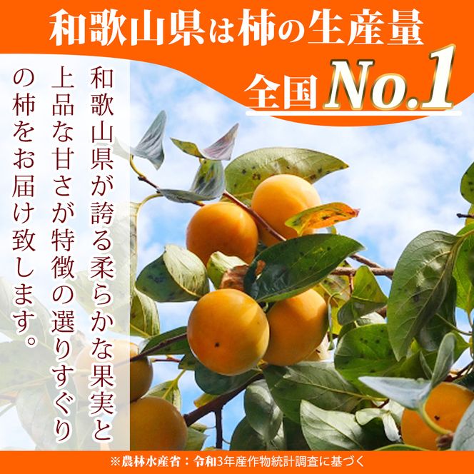 G7113_和歌山秋の味覚 平核無柿（ひらたねなしがき） 3.5kg【家庭用 訳あり】