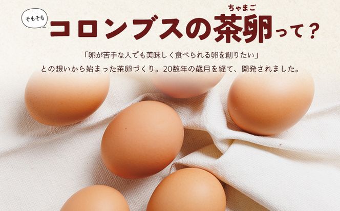 たまご コロンブスの茶卵  10個入×6P 卵 生卵 茶卵 濃厚 卵黄 卵白 生臭みなし 透明感 卵かけご飯 たまご 玉子 朝ごはん オムライス 鶏卵 国産 kl-0005