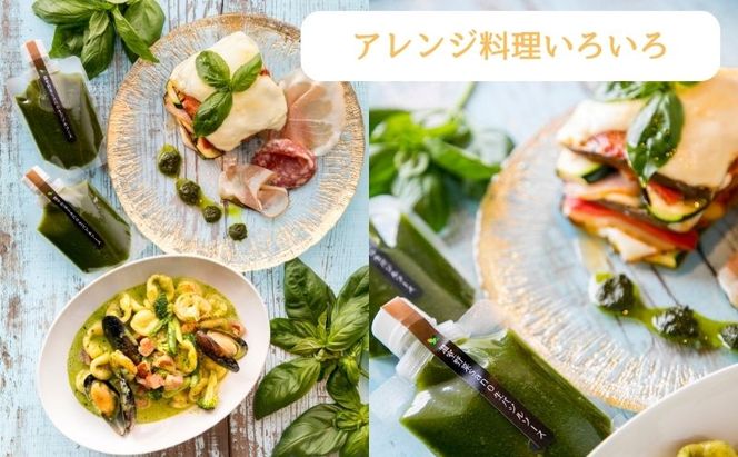 温室野菜 sano 生バジルソース２本セット 加工食品 ソース 