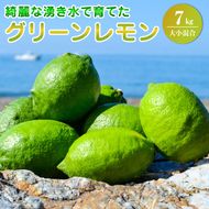 【2026年先行予約】綺麗な湧き水で育てたグリーンレモン 7kg (大小混合)42個～84個_EA6113