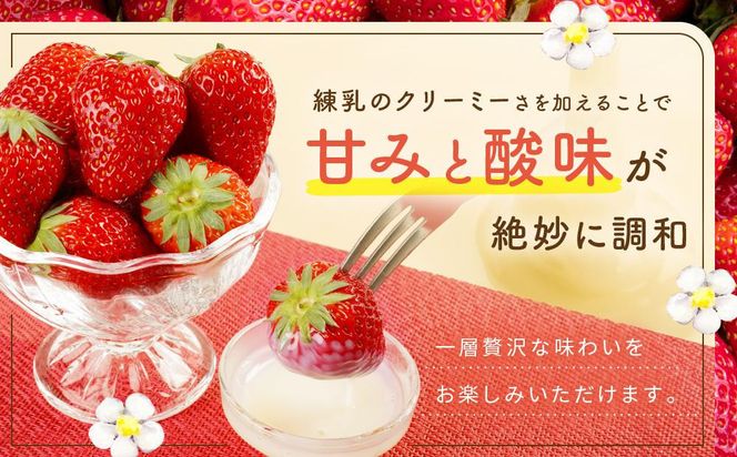 【2027年発送！先行予約】大きめいちご「紅ほっぺ」280g×2パック 222232_DD004