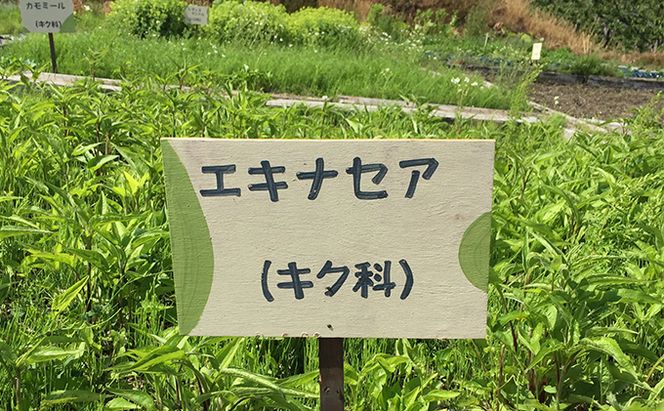 オリジナルハーブティーセット 加工食品 