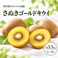 キウイ キウイフルーツ さぬきゴールドキウイ ゴールデンキウイ ゴールドキウイ 香川県産 国産 約3.5kg L～4Lサイズ 16～24玉 大玉 香川県オリジナル品種 追熟 食べごろ 甘い 朝食 デザート フルーツ 果物 くだもの 果実 香川県 東かがわ市 46312064