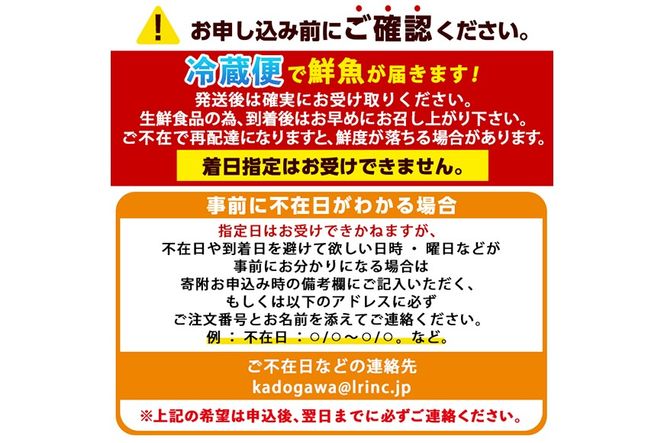 【北海道・離島配送不可】漁師直送！朝獲れ 季節の 鮮魚 詰め合わせ (並) (合計2kg以上・3～5種) 下処理済み 大衆魚 高級魚 未利用魚 冷蔵 BOX ボックス イカ 鯛 海鮮 魚介 食べ比べ 詰合せ 宮崎県産 【O-10】【門川漁業協同組合】