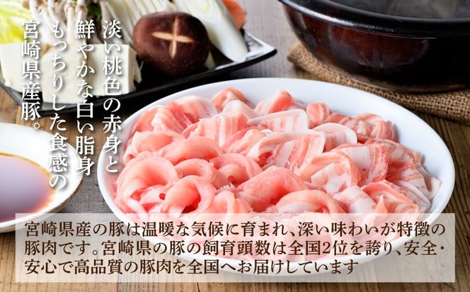 豚肉 詰め合わせ3.2㎏ K18_0040_5