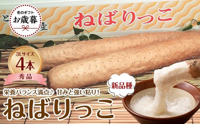 742.【2026年お歳暮　のし付】【先行予約】【ＪＡ】ねばりっこ　秀3Ｌ×4本　※着日指定不可　※離島への配送不可　※順次発送予定 313726_BN024